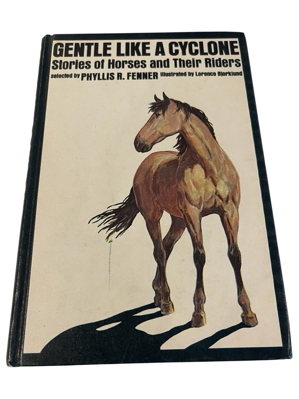 Gentle Like a Cyclone : Stories of Horses and Their Riders by Phyllis R. Fenner